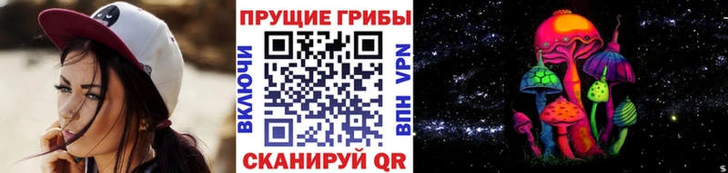 Галлюциногенные грибы Psilocybe  Кинешма 